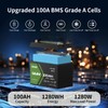 12V 100Ah LiFePO4 Lithium Battery, Group 31, Built-in 100A BMS,