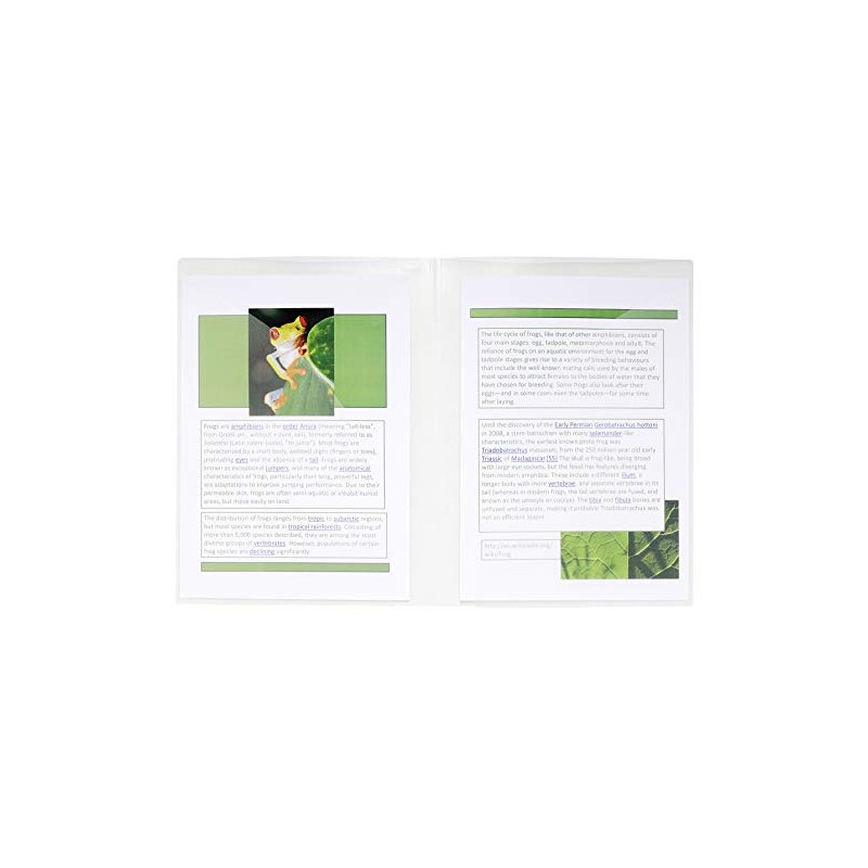 Exacompta - Ref 3967E - Double Pocket Presentation Folder -