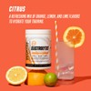 Outwork Electrolytes Powder (30 Servings, Citrus)
