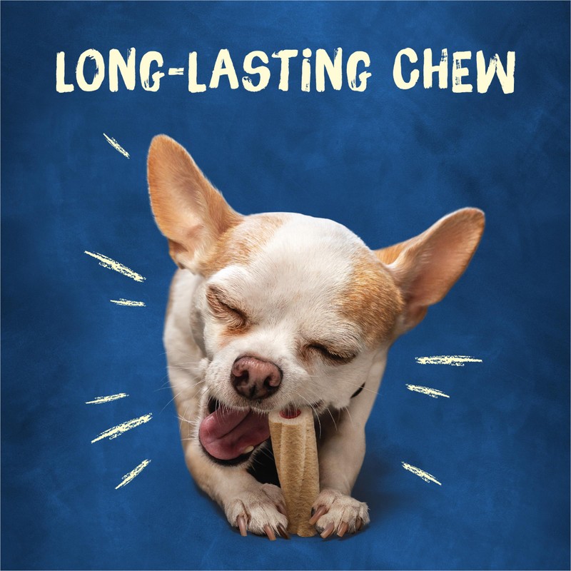 Purina Busy Bone Adult Toy Breed Dog Chew Bone Treats,