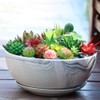 G EPGardening 10Inch Large Planter Marble Pattern Ceramic Succulent Planter