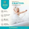 THREAD SPREAD 100% Egyptian Cotton Sheets Queen Size - 800