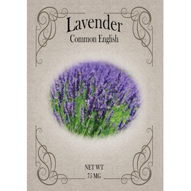 Set of Lavender Seed Packets - Create Your Dream Garden - Bulk Flower Seeds (50)