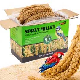 RANZ 5LBS Spray Millet Treat for Pet Birds, Hand-Harvested Bird Snack, Natural Sun-Dried Millet Spray for Parakeets, Parrots, Cockatiels, Lovebirds, Budgies, Finches, Canaries