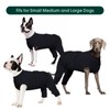 Kuoser Dog Surgery Suit Female Spay, Male Dog Recovery Sleeve