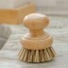 CASA AGAVE™ Pot Scrubber Brush - Type: Refill Brush Head