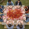TAKEALOOKO 96 Pcs Crawfish Boil Party Supplies, Red White Crawfish