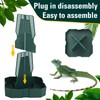 Chameleon Feeding Bearded Dragon Bug Bowl Reptile Feeder Box with