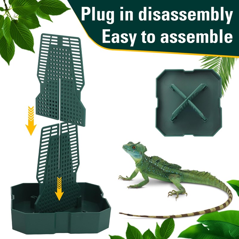 Chameleon Feeding Bearded Dragon Bug Bowl Reptile Feeder Box with