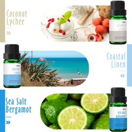 Beach Fragrance Oil, MitFlor Premium Scented Oils for Diffuser, Soap & Candle Making Scents, Summer Aromatherapy Essential Oils Gift Set, Coastal Linen, Pink Sands, Ocean Mist and More, 6x10ml