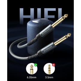 BlueRigger 6.35mm Mono Jack TS ¼ Cable 10FT - (Male TS ¼ Inch Instrument Cable to 6.35 mm Unbalanced Speaker Cable, ¼” Amp Cord, Interconnect Cable) - Compatible with Speaker, Guitar, Keyboard