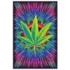 Studio B Canna Vibes NonFlocked Blacklight Poster 24x36