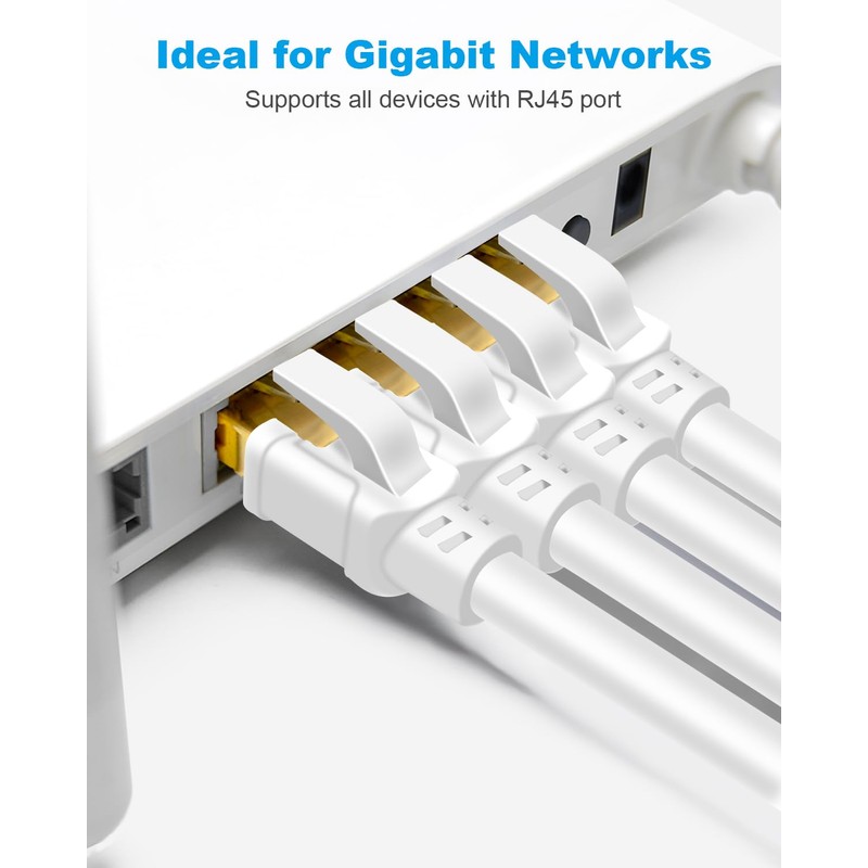 CAT8 cable.