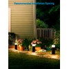 LEONLITE Low Voltage Path Lighting, 5W LED Landscape Bollard Pathway