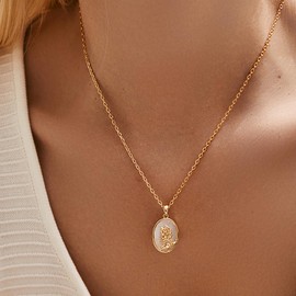 FanLeClair Pearl & Mother of Pearl Necklace 18K Gold Plated Pendant Dainty Chain Layering Choker for Women Jewellery Gift