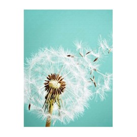 Vinyl Wall Quotes Stickers White Dandelion Turquoise Modern Wall Art Decal Home Decor Flower Floral Teal Green Wall Decals Stickers for Classroom Laptop School Furniture
