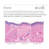 Sérum Facial con Ácido Hialurónico, Vitamina B5, Colágeno Hidrolizado y