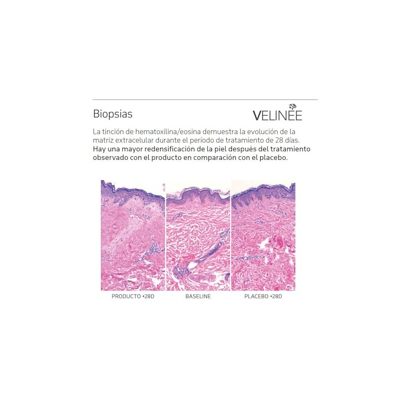 Sérum Facial con Ácido Hialurónico, Vitamina B5, Colágeno Hidrolizado y