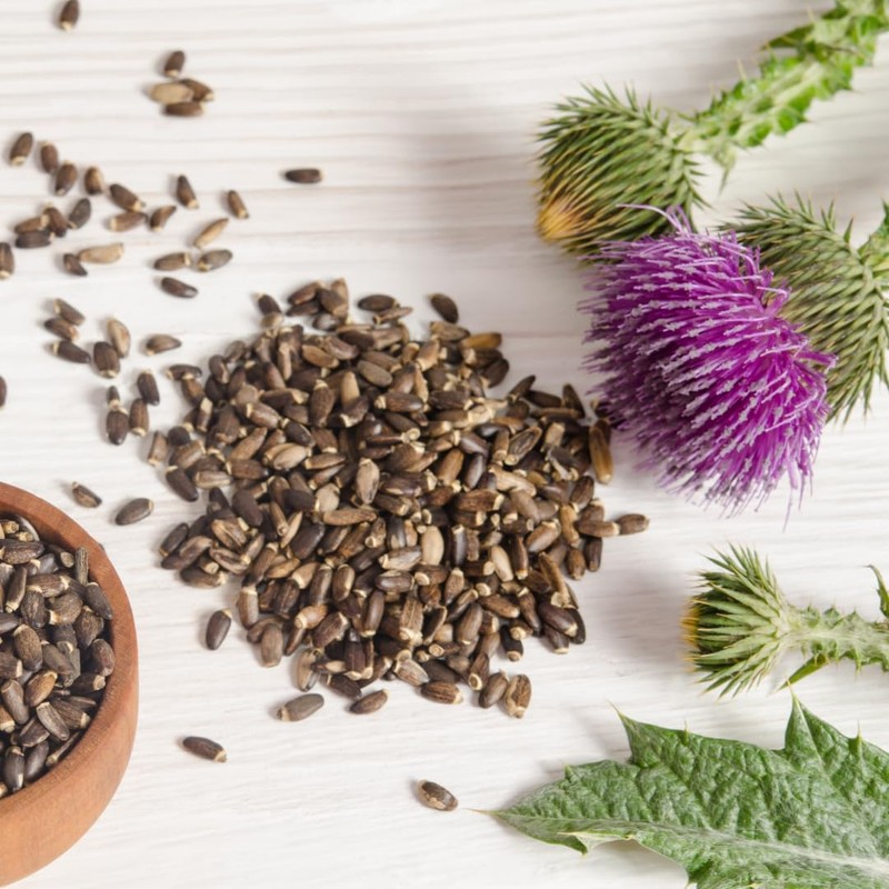 Mariendistelsamen ganz (100g), 100% natürlich und rein, schonend getrocknet, vegan