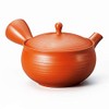 Yamaki Ikai M357 Wide Mesh Teapot, Gyokuryu Sentan, 5.5 x