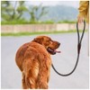 SEPXUFORE 3FT Slip Lead Dog Leash, 1/2 inch Rope Dog