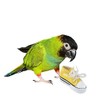 Super Bird Creations SB1058 Sneakers Bird Foot Toy - Engaging,