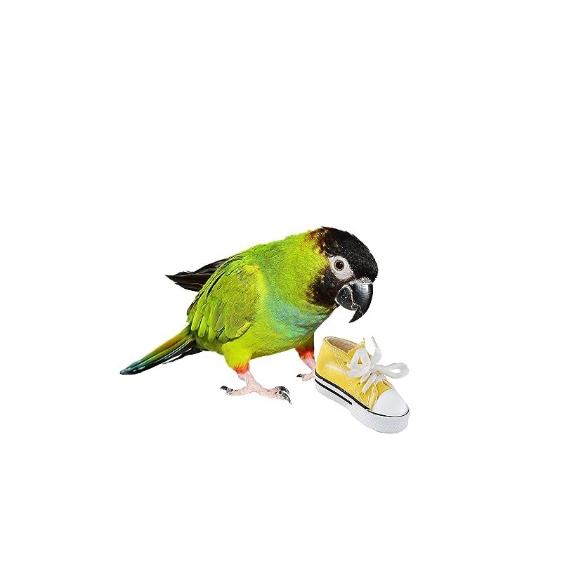 Super Bird Creations SB1058 Sneakers Bird Foot Toy - Engaging,