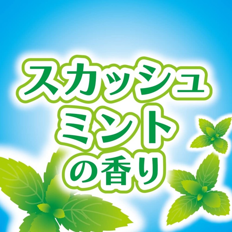 Kincho Koba Ecoers Trash Can Deodorizer, Squash Mint Scent, Corrosion