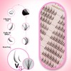Cat Eye Manga False Eyelashes - Natural, Fluffy, Lashes Cluster