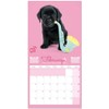 ERIK - Studio Pets Lab 2020 Wall Calendar, 16 Months,