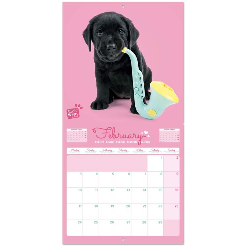 ERIK - Studio Pets Lab 2020 Wall Calendar, 16 Months,