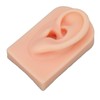 3D Nose and Mouth Model Silicone Ear Model Simulation Display