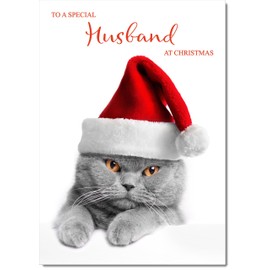 doodlecards Husband Christmas Card Grey Cat with Santa Hat Medium Size Christmas Card for Husband with Plain Envelope