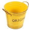 CAXUSD Flower Bucket Handle Metal Planter Rustic Artistic Flowerpot Collapsible
