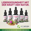 DKT-Natura Leberplus Tropfen - Unterstützt Leberentgiftung, gegen Fettleber (50 ml,