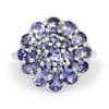 2.70 Carat Genuine Tanzanite .925 Sterling Silver Ring