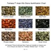 Fantasia Materials: 3 lbs (Best Value) of Exclusive Premium Asia