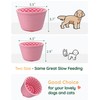 Evenco 2-in-1 Licking Toy & Silicone Slow Feeder Bowls with