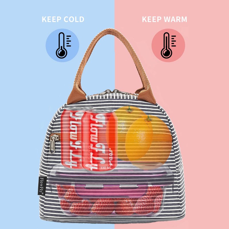 FlowFly Insulated Lunch Cooler Bag - Tote Bag Organizer for