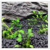 2 LB to Complete Freshwater Planted Aquarium Substrate,Aquatic plant cultivation