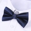 HISDERN Bow Tie Men's Already Tied Adjustable Bow Plain Paisley