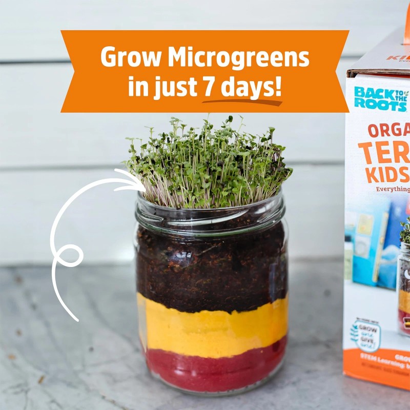 Back to the Roots STEM Certified Kids Terrarium Grow Kit