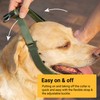 SVD.PET Dog Prong Collar for No-Pull Training, Quick-Release Buckle Adjustable