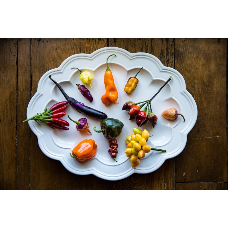 Satsuma Long Green Eggplant Asian Heirloom Premium Seeds for Planting