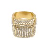 Charles Raymond Bling Bling Hip Hop Iced Out Luxury BIG