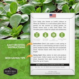 Corn Salad Verte de Cambrai Seeds for Planting - 2 Packets with Instructions to Plant and Grow Lamb's Lettuce or Mache in Your Home Vegetable Garden - Non-GMO, Heirloom Variety - Survival Garden Seeds