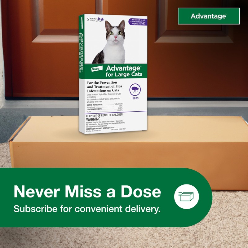 Advantage Topical Cat Flea Treatment and Prevention for Large Cats