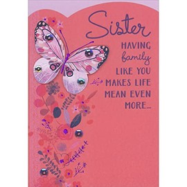 Designer Greetings Makes Life Mean Even More: 3D Tip On Butterfly with Silver Sequins on Coral Background Hand Decorated Valentine's Day Card for Sister