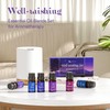 ASAKUKI ASAKUKI Essential Oils, Essential Oil Blends Set for Diffusers,