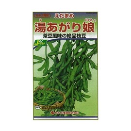 KS300 Series KS300 Kaneko Seedlings, Gardening and Seeds, Vegetable 300 228
